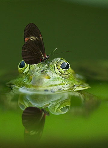 在實驗中探究生物技術